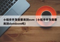 小程序开发需要用到ssm（小程序开发需要用到dombom吗）